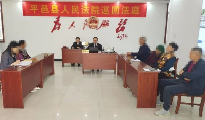 巡回法庭进村 法护亲情暖心——平邑法院成...