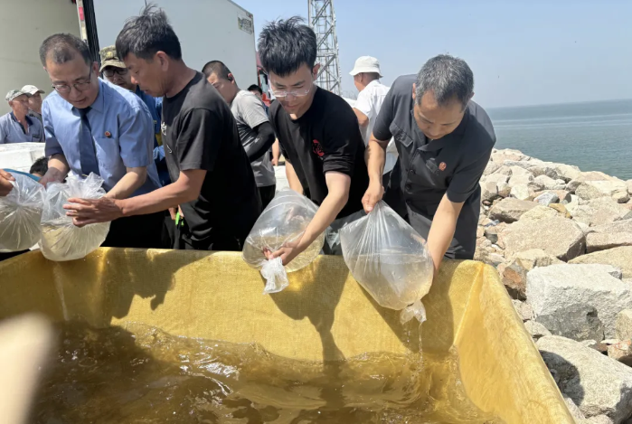 【三强三优】昌邑法院：虾苗跃渤海 司法护...